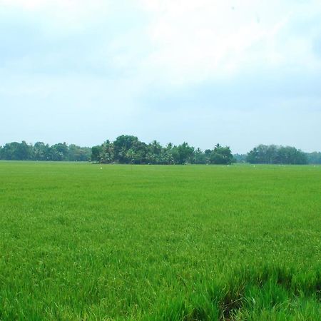 Triveny River Palace Hotel Alappuzha Exterior foto